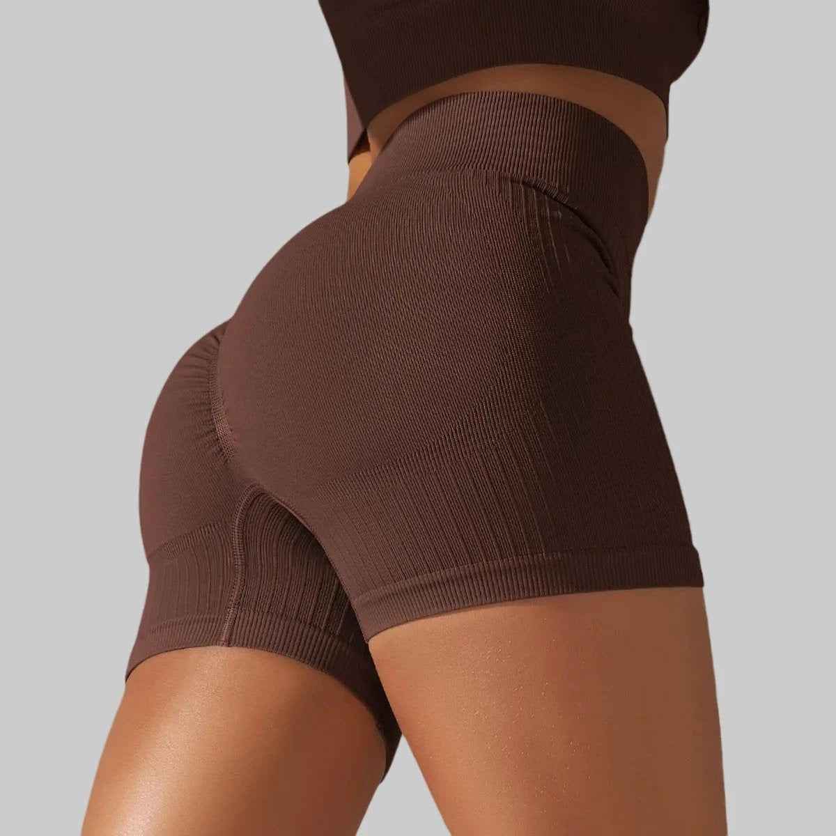 Sculpt High Waist Seamless Shorts Women - NORDUM.SHOP