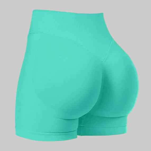 Sculpt Seamless Shorts – High Waist - NORDUM.SHOP
