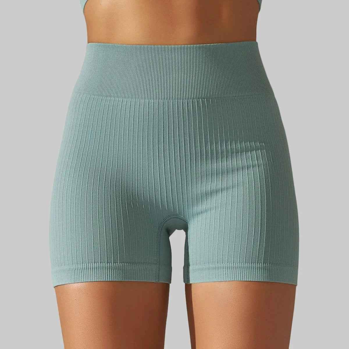 Sculpt High Waist Seamless Shorts Women - NORDUM.SHOP