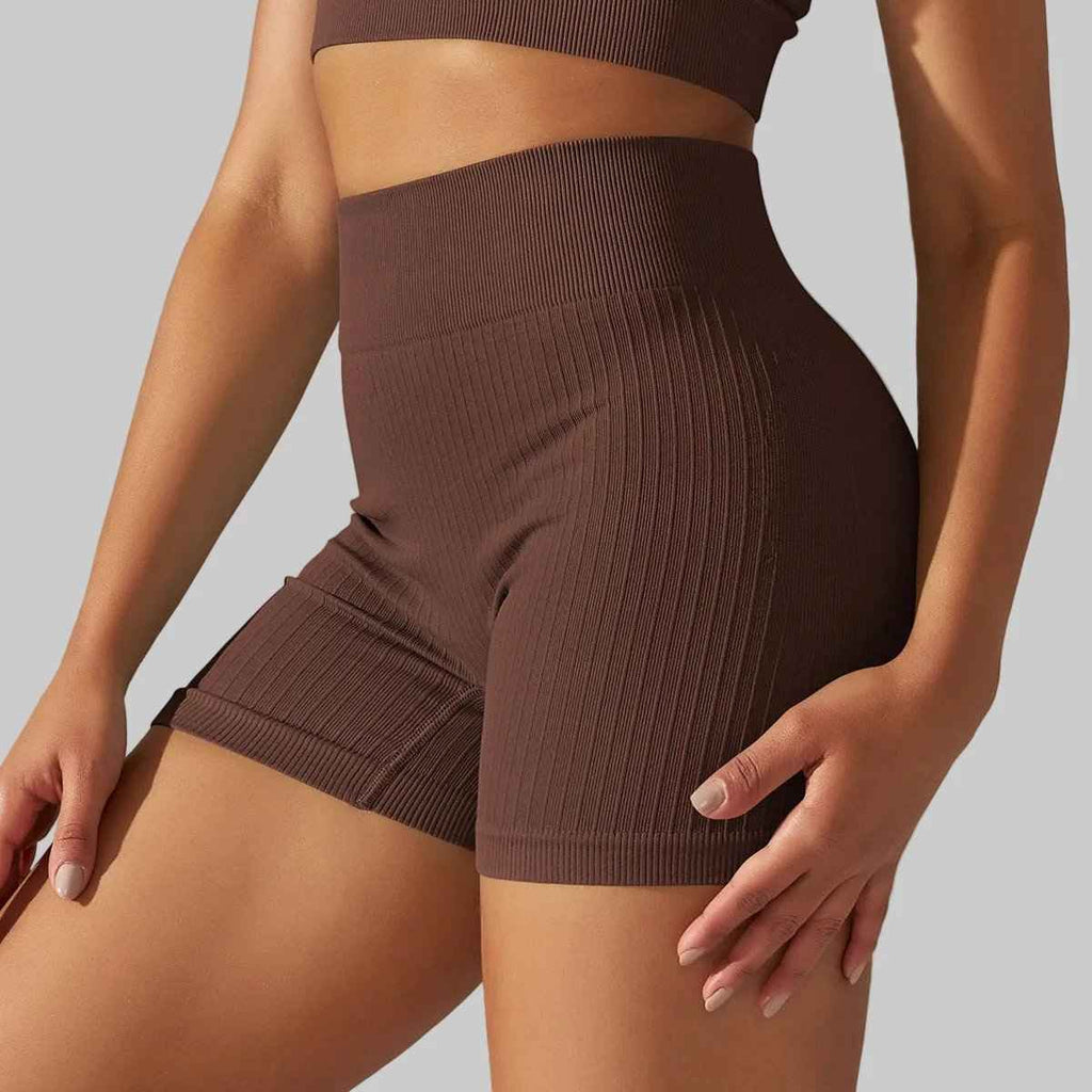 Sculpt High Waist Seamless Shorts Women - NORDUM.SHOP