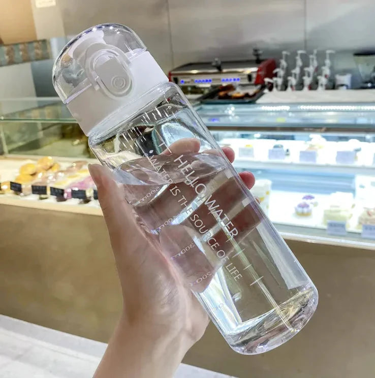 AquaGuard Portable Hydration TwinTilt Steel Pet Feeder