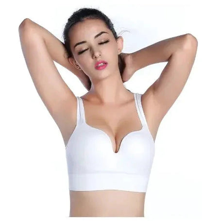 SF Glory Active Bra BRANCO M TwinTilt Steel Pet Feeder